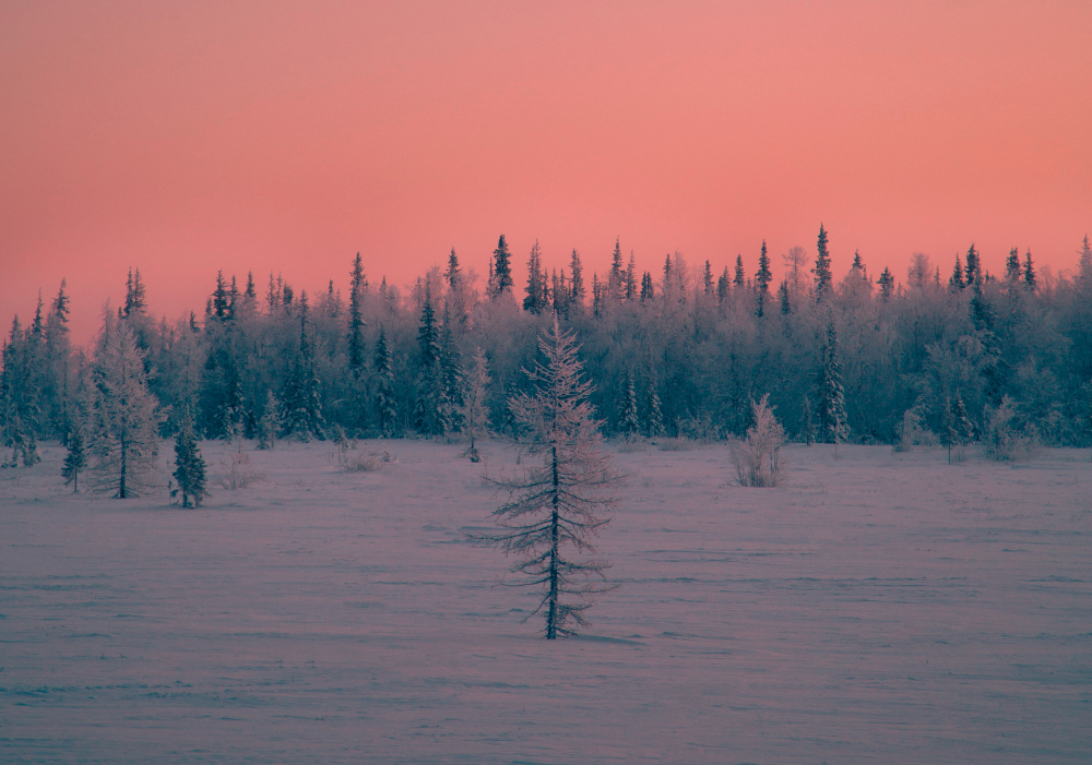 Aurora borealis - Winter theme