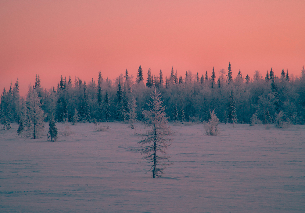 Aurora Borealis - es ist Winter
